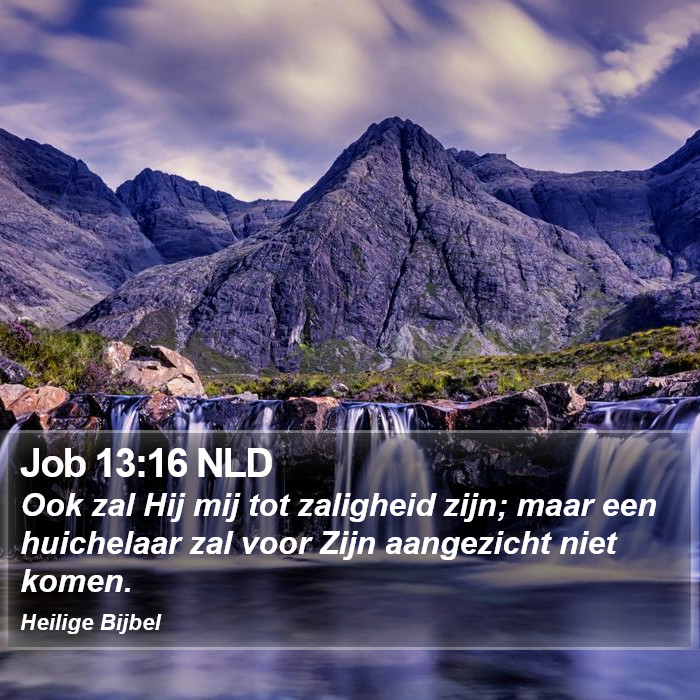 Job 13:16 NLD Bible Study
