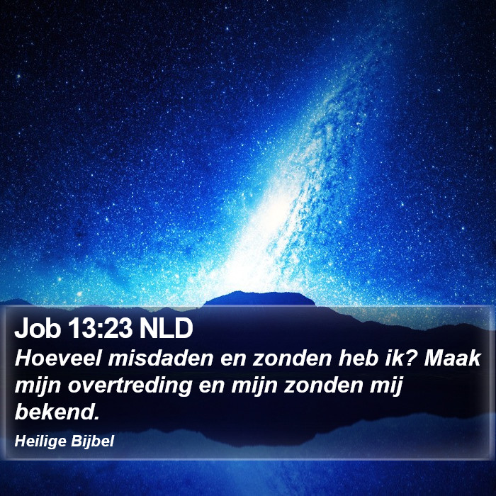 Job 13:23 NLD Bible Study