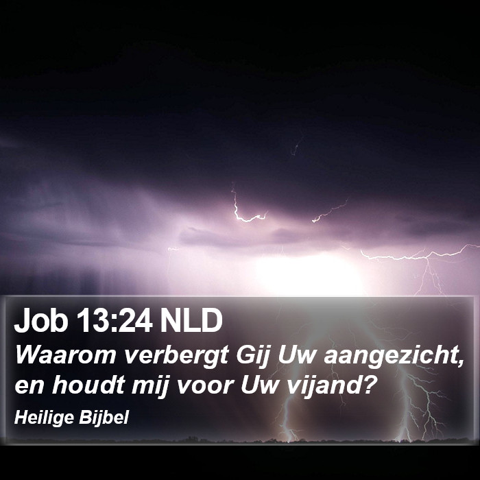 Job 13:24 NLD Bible Study