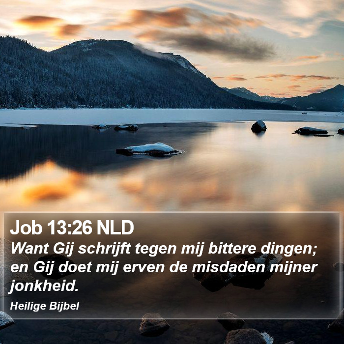 Job 13:26 NLD Bible Study