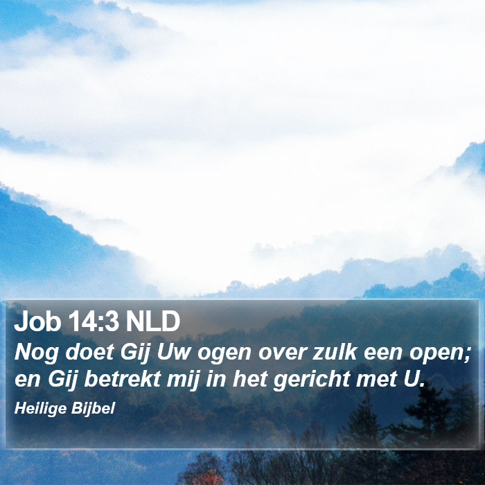 Job 14:3 NLD Bible Study