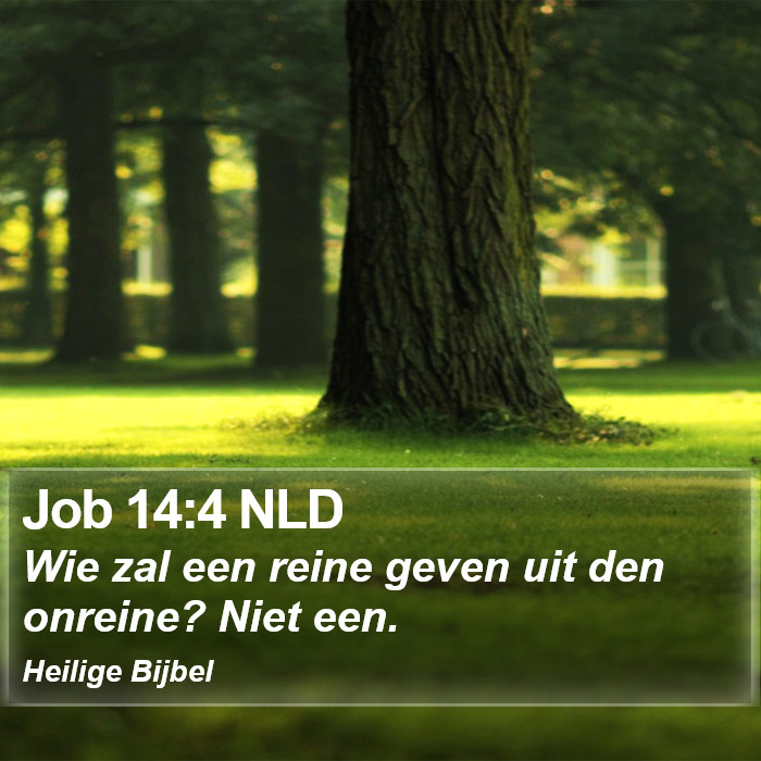 Job 14:4 NLD Bible Study