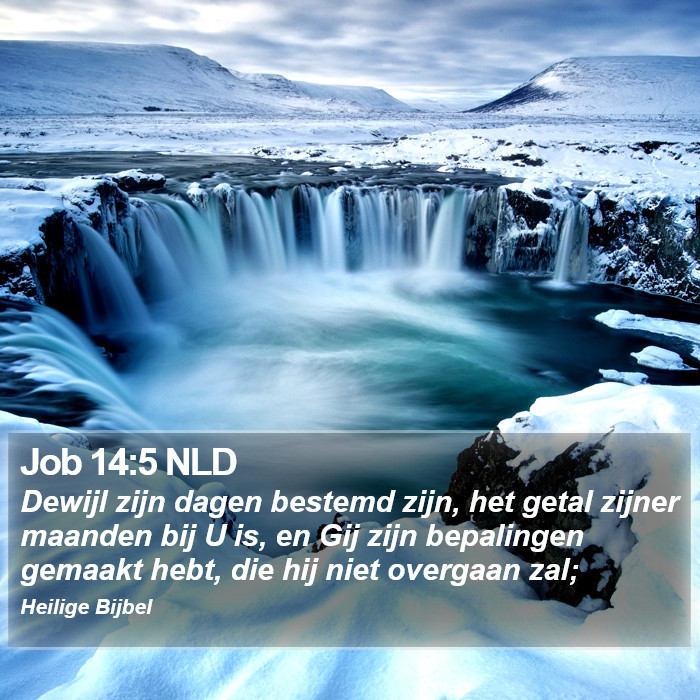 Job 14:5 NLD Bible Study