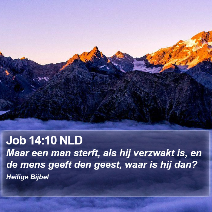 Job 14:10 NLD Bible Study