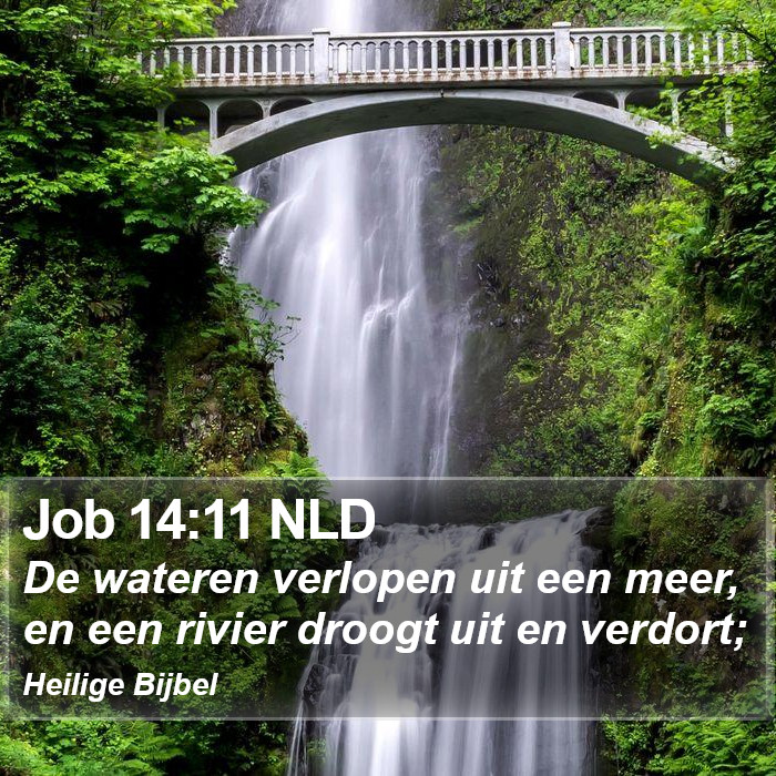 Job 14:11 NLD Bible Study