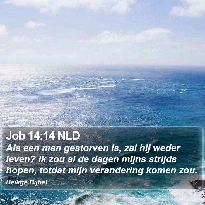 Job 14:14 NLD Bible Study