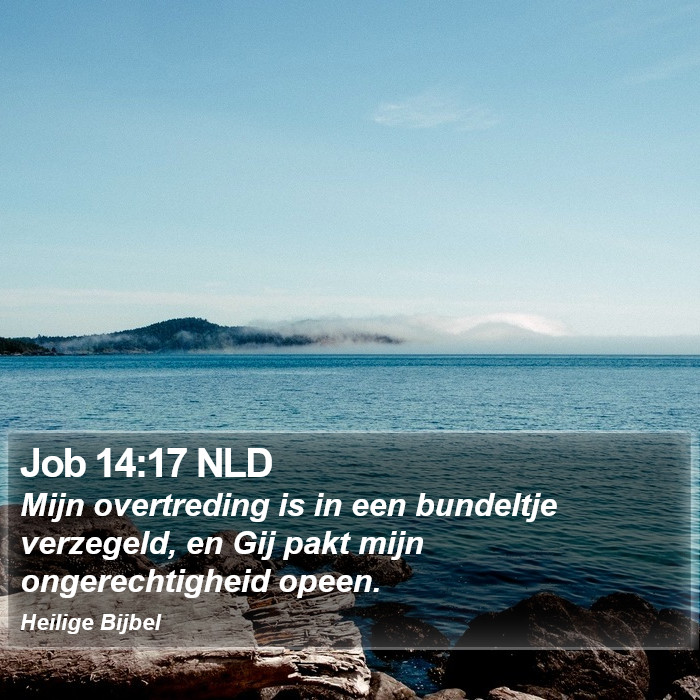 Job 14:17 NLD Bible Study