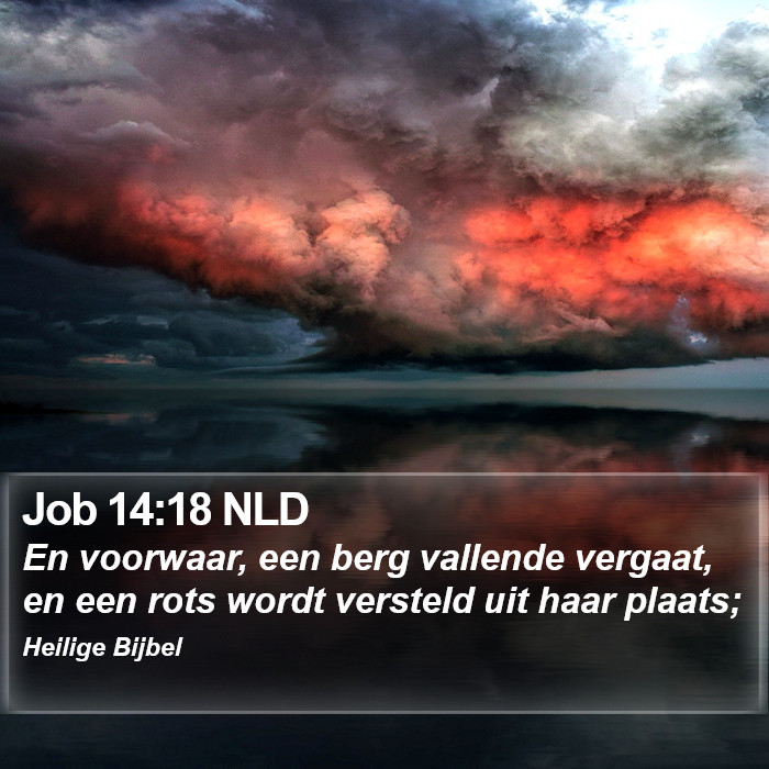 Job 14:18 NLD Bible Study