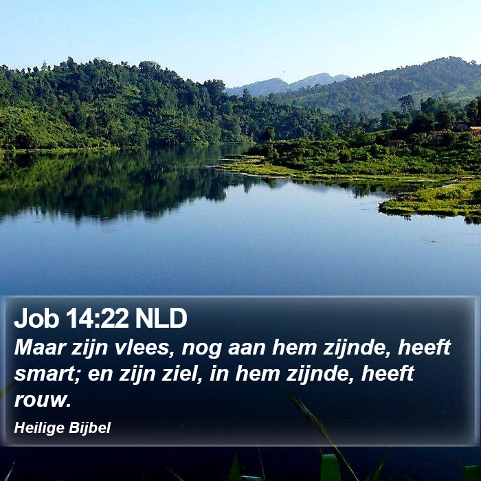 Job 14:22 NLD Bible Study