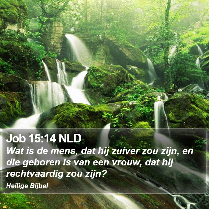 Job 15:14 NLD Bible Study