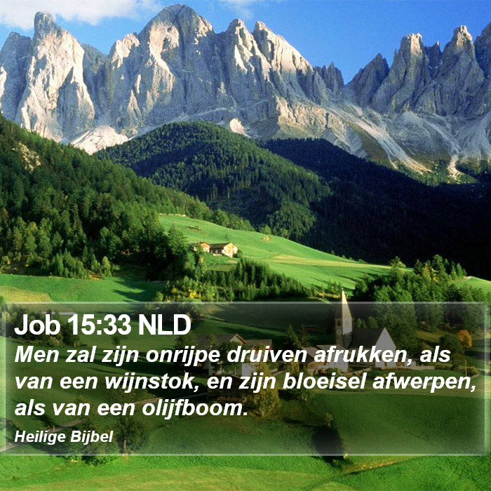 Job 15:33 NLD Bible Study