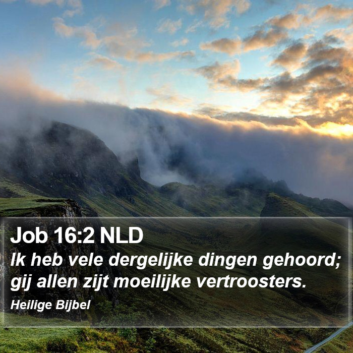 Job 16:2 NLD Bible Study