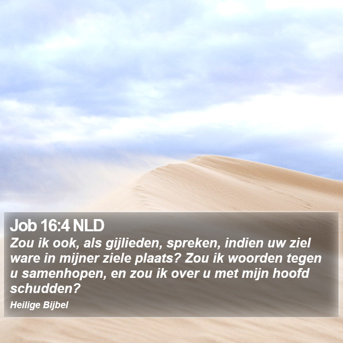 Job 16:4 NLD Bible Study