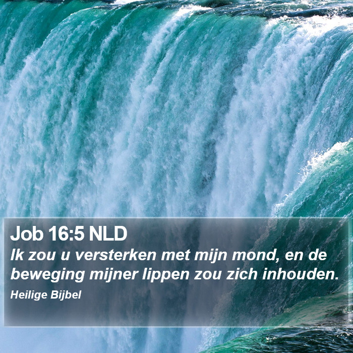 Job 16:5 NLD Bible Study