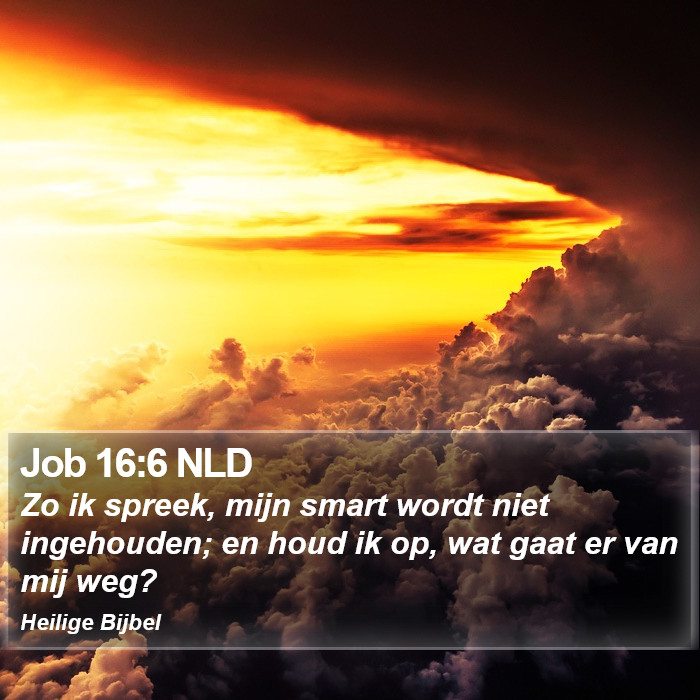 Job 16:6 NLD Bible Study