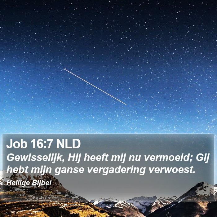 Job 16:7 NLD Bible Study
