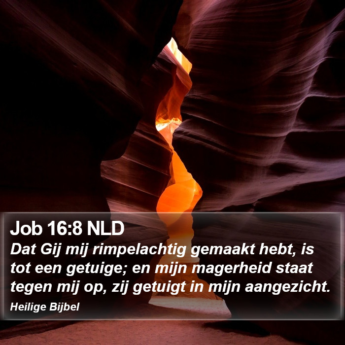 Job 16:8 NLD Bible Study