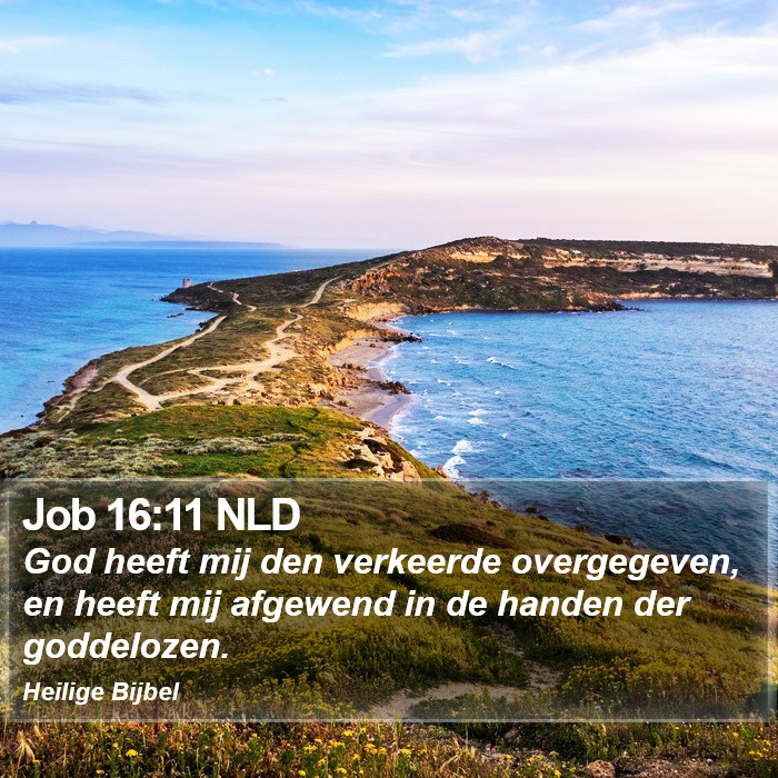 Job 16:11 NLD Bible Study