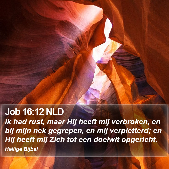 Job 16:12 NLD Bible Study