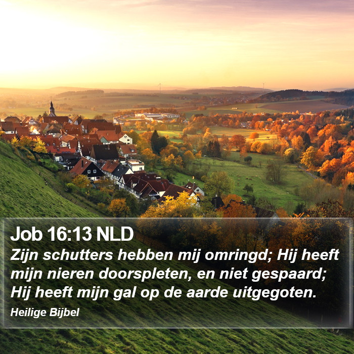Job 16:13 NLD Bible Study