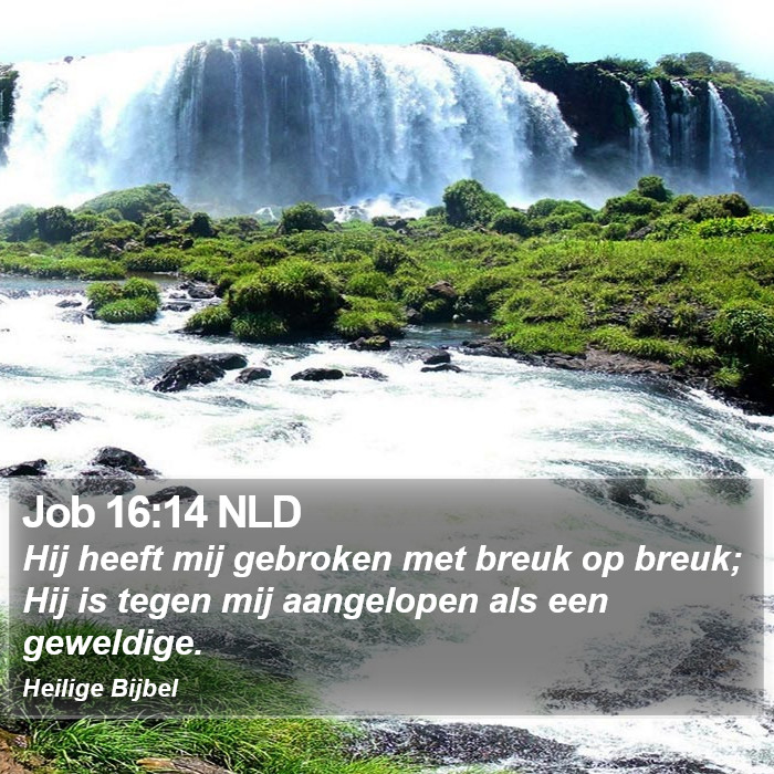 Job 16:14 NLD Bible Study
