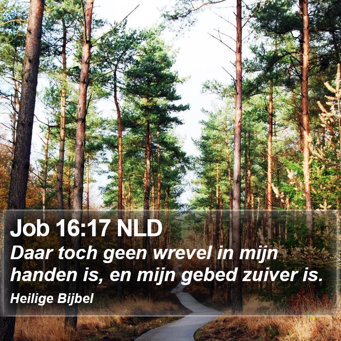 Job 16:17 NLD Bible Study