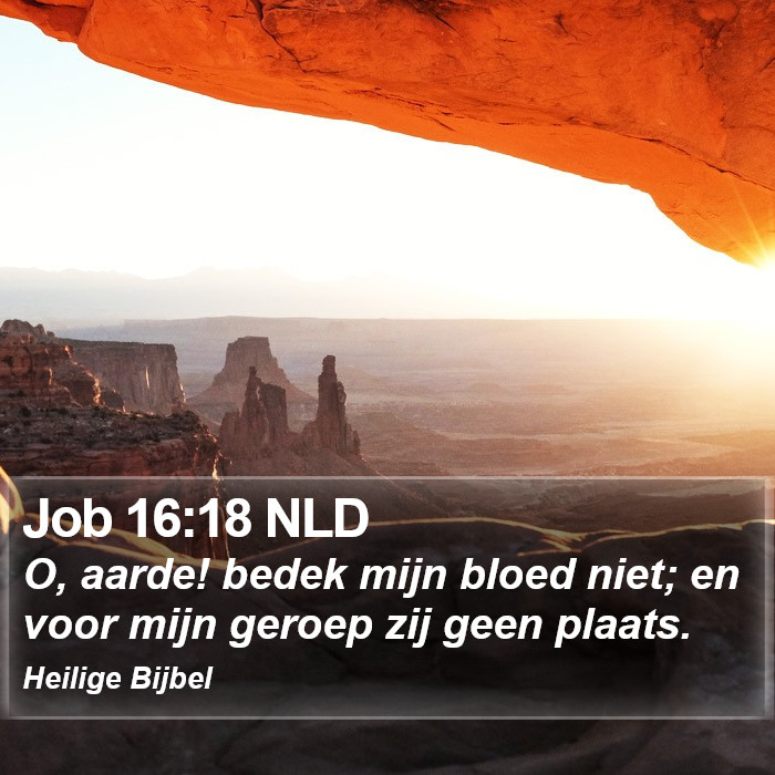 Job 16:18 NLD Bible Study