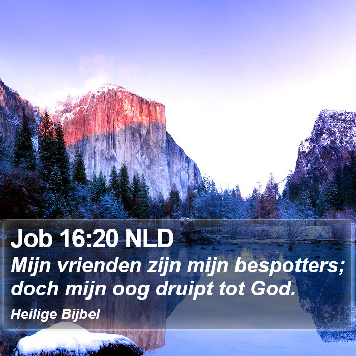 Job 16:20 NLD Bible Study
