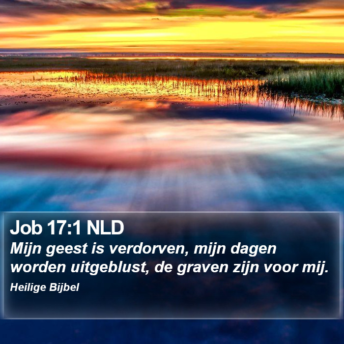 Job 17:1 NLD Bible Study