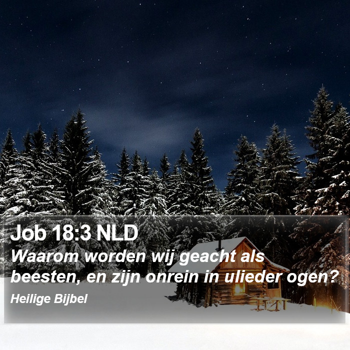 Job 18:3 NLD Bible Study