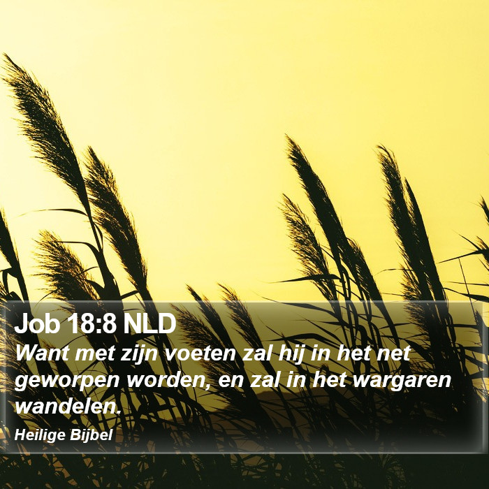 Job 18:8 NLD Bible Study