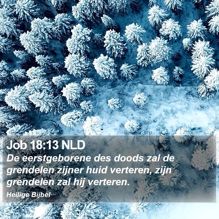 Job 18:13 NLD Bible Study