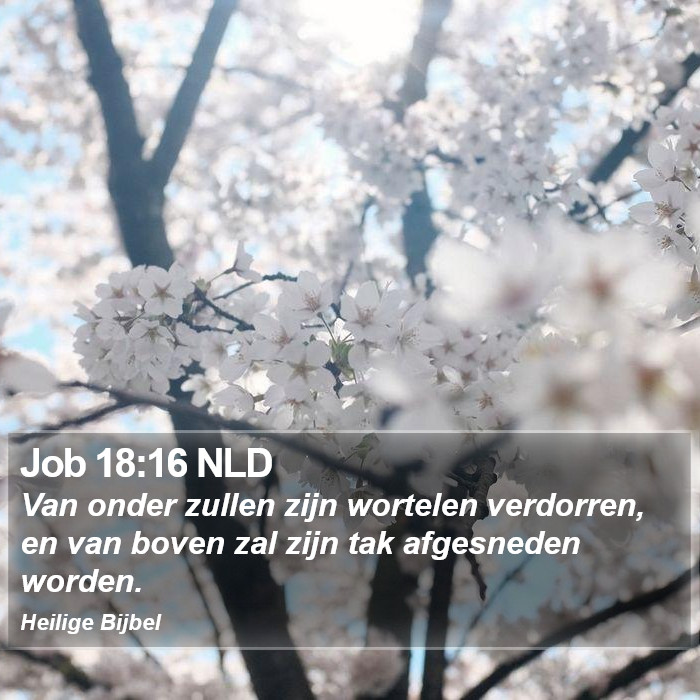 Job 18:16 NLD Bible Study