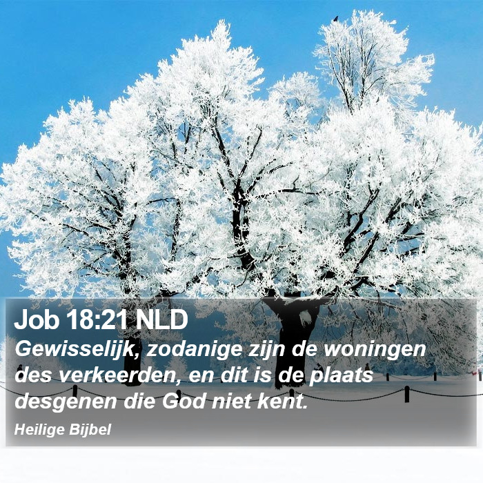 Job 18:21 NLD Bible Study