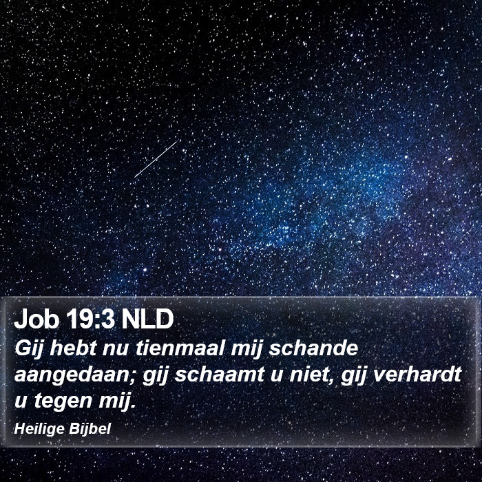 Job 19:3 NLD Bible Study