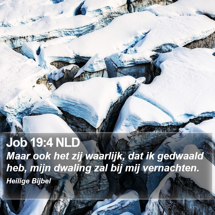 Job 19:4 NLD Bible Study