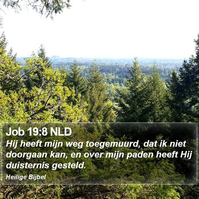 Job 19:8 NLD Bible Study