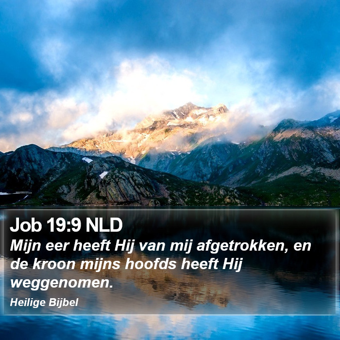 Job 19:9 NLD Bible Study