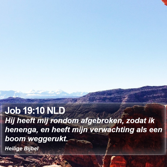 Job 19:10 NLD Bible Study