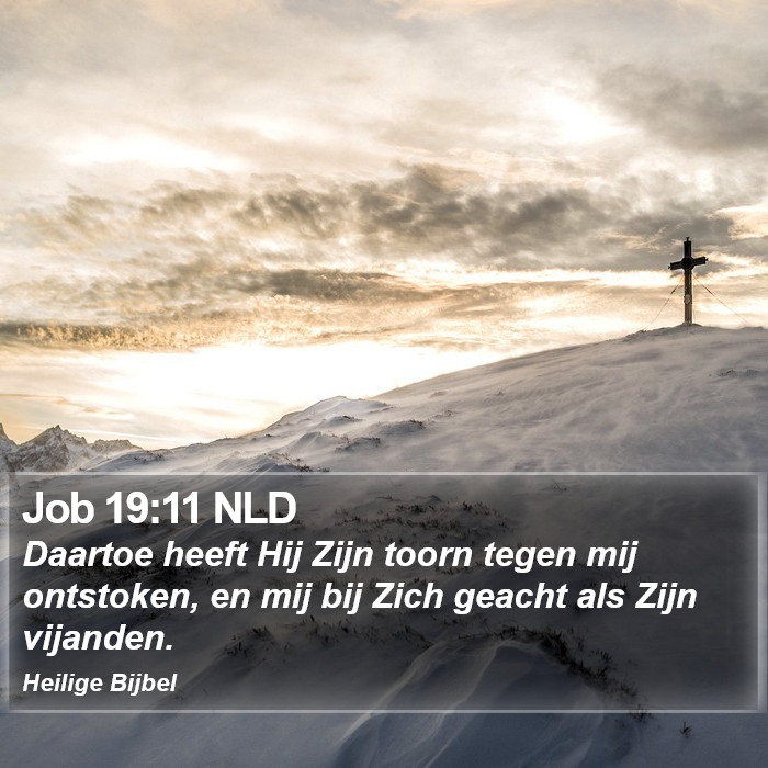 Job 19:11 NLD Bible Study