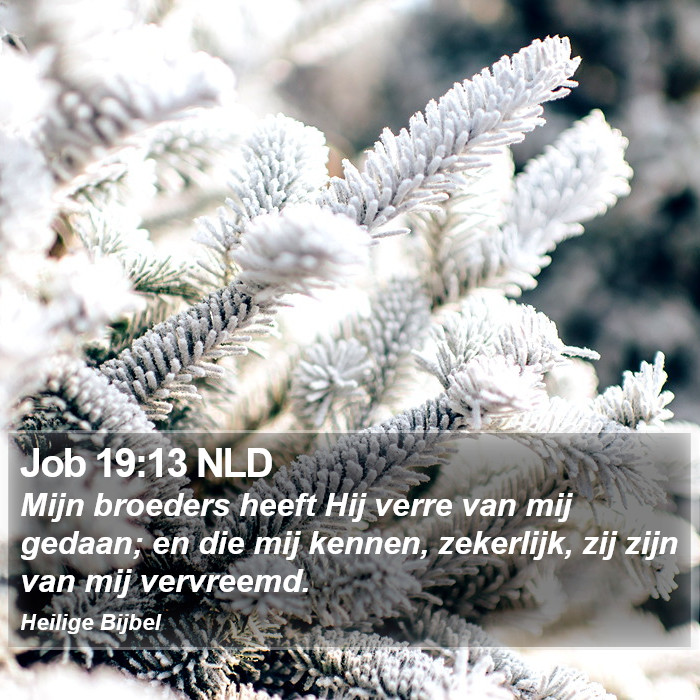 Job 19:13 NLD Bible Study