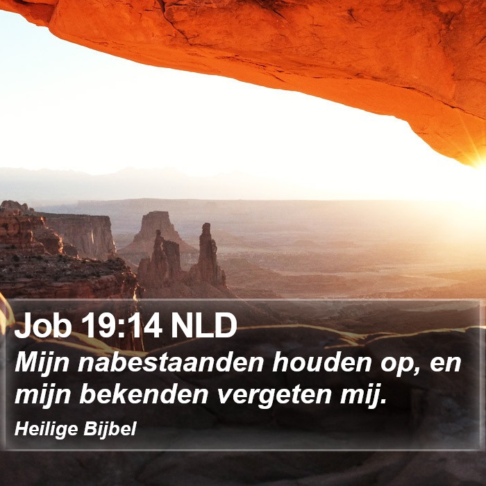 Job 19:14 NLD Bible Study