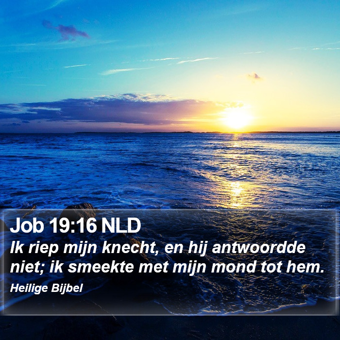 Job 19:16 NLD Bible Study