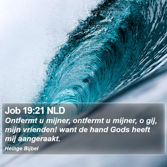 Job 19:21 NLD Bible Study