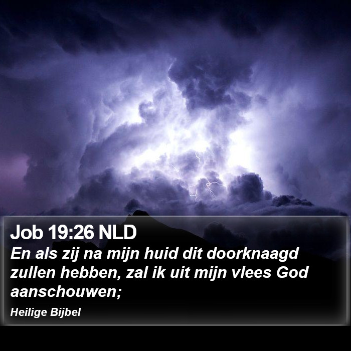 Job 19:26 NLD Bible Study