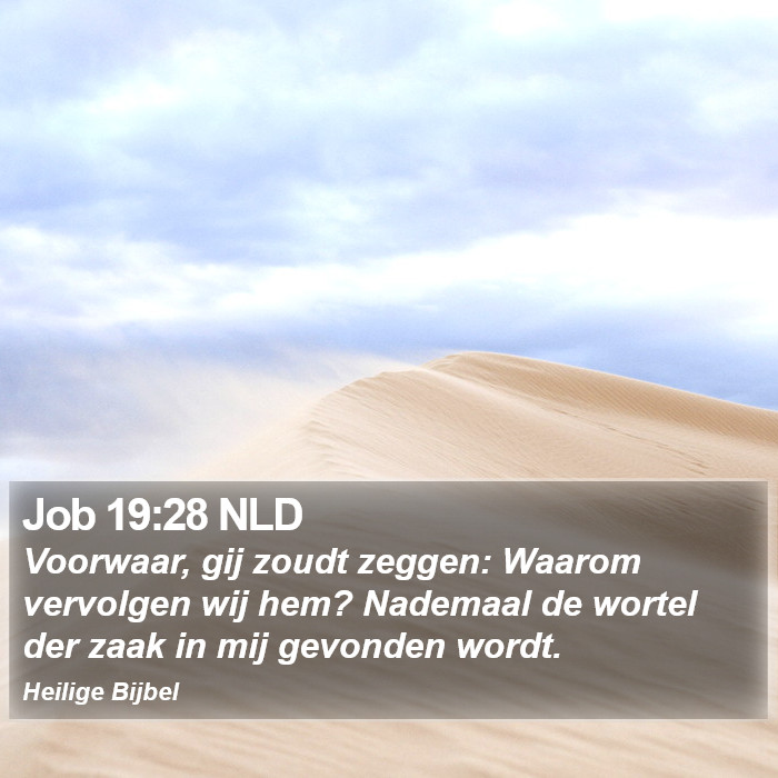 Job 19:28 NLD Bible Study