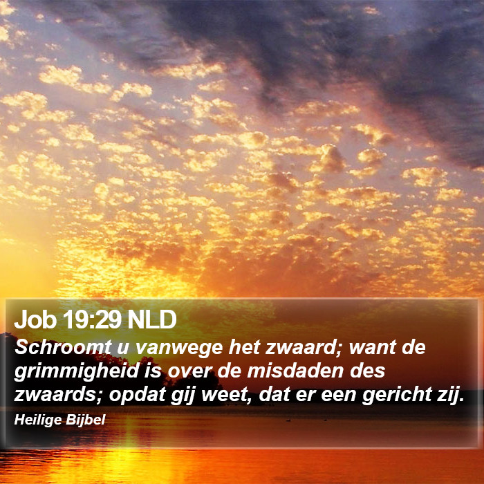 Job 19:29 NLD Bible Study