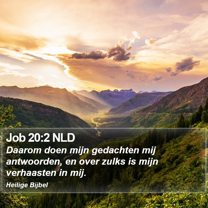 Job 20:2 NLD Bible Study