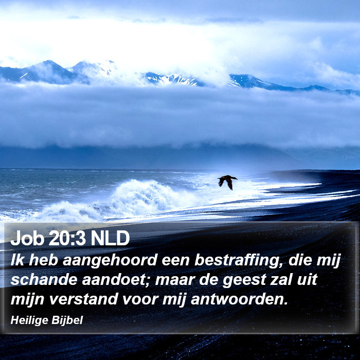 Job 20:3 NLD Bible Study