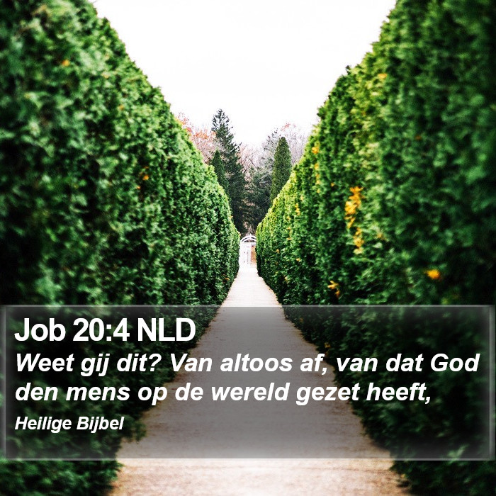 Job 20:4 NLD Bible Study